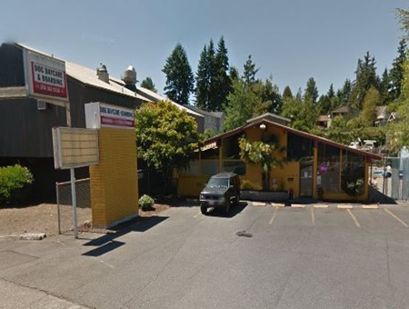 pet day care in seattle, boarding and grooming in seattle