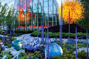 Chuhily and glass seattle