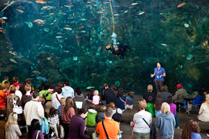 seattle aquariu 