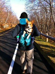 hiking in seattle washington with your dog